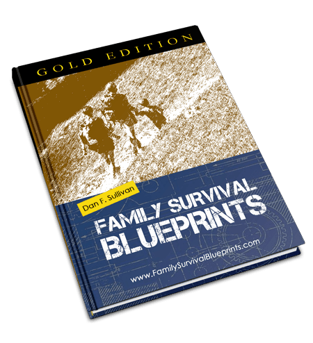 Family Survival Blueprints e-course cover