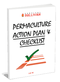 my survival farm action plan cover